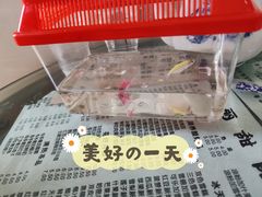 -俊丽双皮奶甜品店