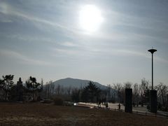 -羊亭河湿地公园