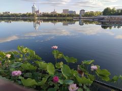 -莲花池公园