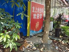 -龙上水现炒生料(柳沙店)