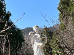 -北京西山国家森林公园