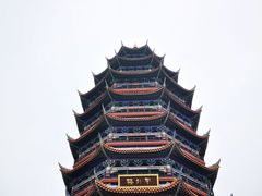 -铁山坪森林公园