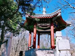 -云岗森林公园