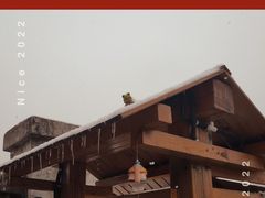-世纪飞马幼儿园(西城校区)