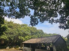 -海口火山口国家地质公园