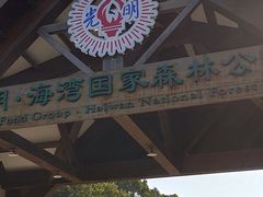 -上海海湾国家森林公园