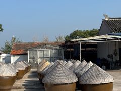 -苏州市吴中区光福窑上花果蜜饯厂