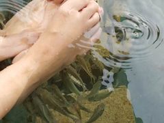 -苏州湾王焰温泉度假酒店