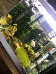 -椿树下·Tattoo纹身工作室