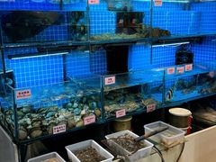 -涌觅名灶·本地海鲜宁波菜(财富广场店)