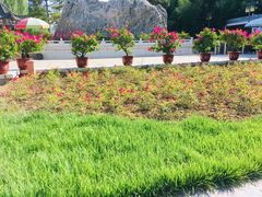 -燕郊植物园