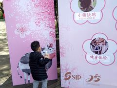 -金鸡湖桃花岛