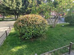 -大雁塔北广场音乐喷泉