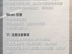 -淄博花灯齐彩城