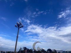 -洱海月湿地公园