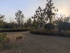 -西吴河科普公园