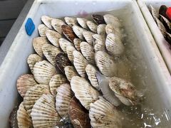 -拉威海鲜市场