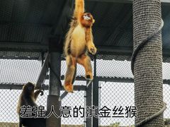 -西安秦岭野生动物园
