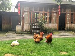 -黄公望隐居地