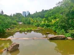 -云溪植物园
