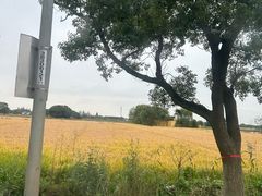 -嘉北郊野公园