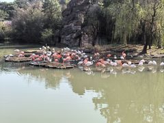 -宁波野生动物园