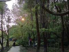 -九科绿洲