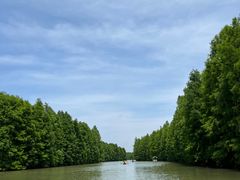 -上海海湾国家森林公园