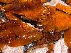 -守柴炉烤鸭(科华中路王府井店)