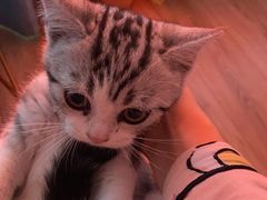 -张正麻辣烫(龙城路店)