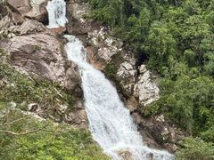 -海南热带雨林国家公园吊罗山景区