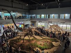 -自贡恐龙博物馆