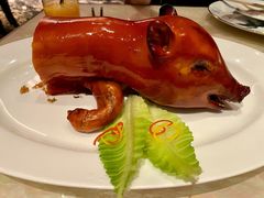 乳猪焗饭-8餐厅(新葡京酒店)