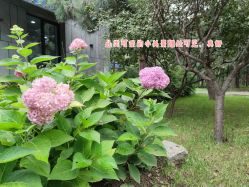 点击看大图 -爱儿美儿童摄影(奥森公园店)