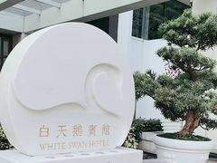 -广州白天鹅宾馆