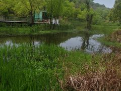 -西湖风景区-江洋畈生态公园