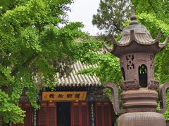 -洛阳白马寺