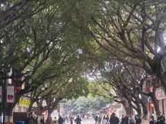-木瓜老店