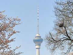 -中央广播电视塔