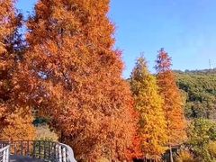 -无锡梅园公园