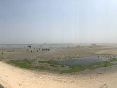 -北海金海湾红树林生态旅游区