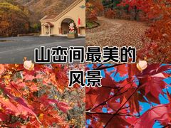 -丹东天桥沟景区