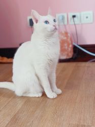 -齐伽生活馆·瑜伽·普拉提·阿育吠陀