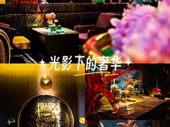 -索拉古贝(义乌北苑店)