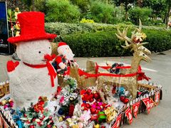 -南宫五洲植物乐园