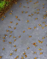 -WAVE SODA摄影工作室