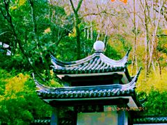 -亭林公园