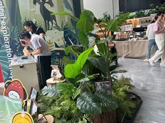 -北京周口店北京人遗址博物馆