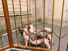 -三肥两瘦烤肉(鹿城店)