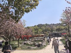 -南京银杏湖乐园